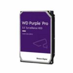 DISCO DURO PURPLE PRO WD 10 TERAS